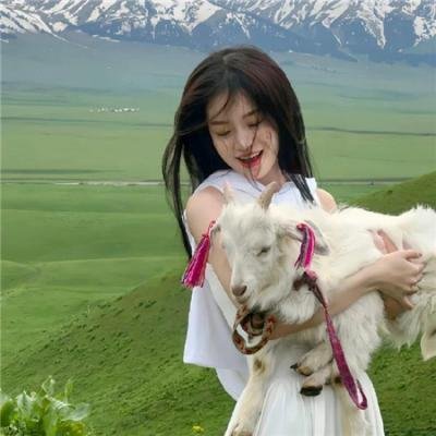 鲨人树儿海报